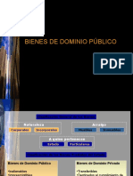 1116 Bienes de Dominio Público