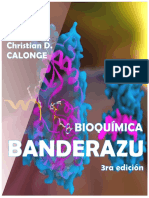 BANDERAZU 3.0 (1)