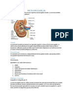 Necrosis Papilar Renal