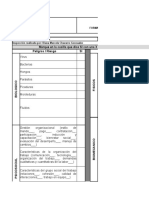 Formato de Inspeccion