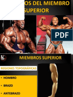 Musculos de Las Extremidades Superiores