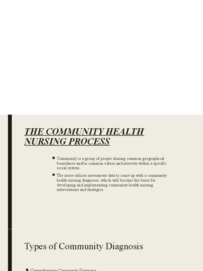 community health assessment nursing paper
