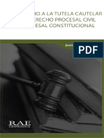 169 - DERECHO TUTELA CAUTELAR PROCESO CIVIL Y CONSTITUCIONAL - Junior Benites R. - RAE 1