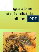 Biologia Albinei