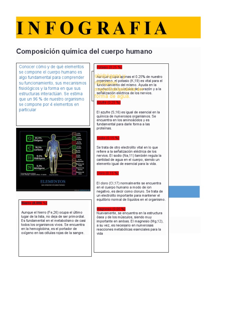 Infografia: Composición Química Del Cuerpo Humano | PDF | Oxígeno ...