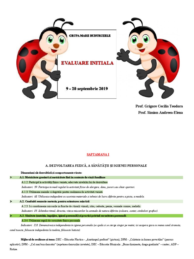 Evaluare Initiala Grupa Mare 2019 2020 Final | PDF
