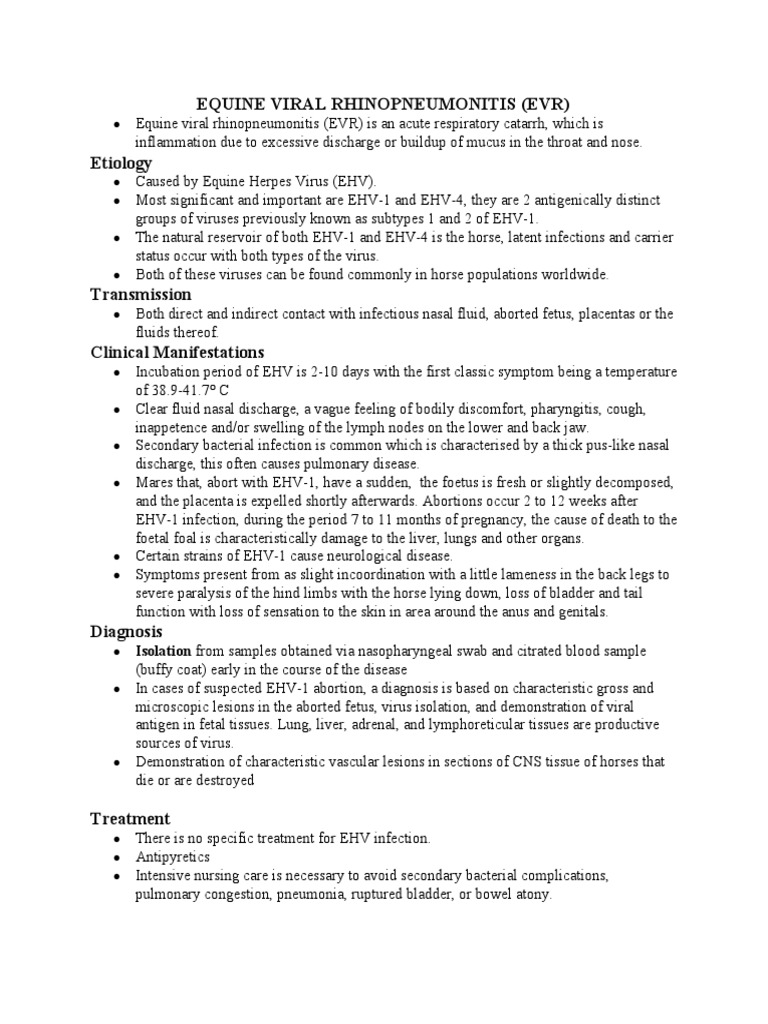 Equine Viral Rhinopneumonitis | PDF | Infection | Veterinary Medicine