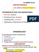 Amphistomiasis and Schistosomiasis in livestock