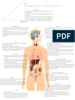 Sistema endocrino 2.pdf