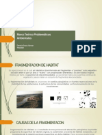 Fragmentacion PDF