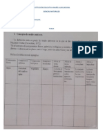 Medio Ambiente 11º