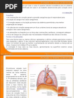 07_sistema_cardiovascular (1)