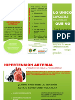 Causas y prevención de la hipertensión arterial