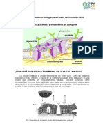 Guía N°2 Membrana Plasmática Biología para Prueba de Transición 2020