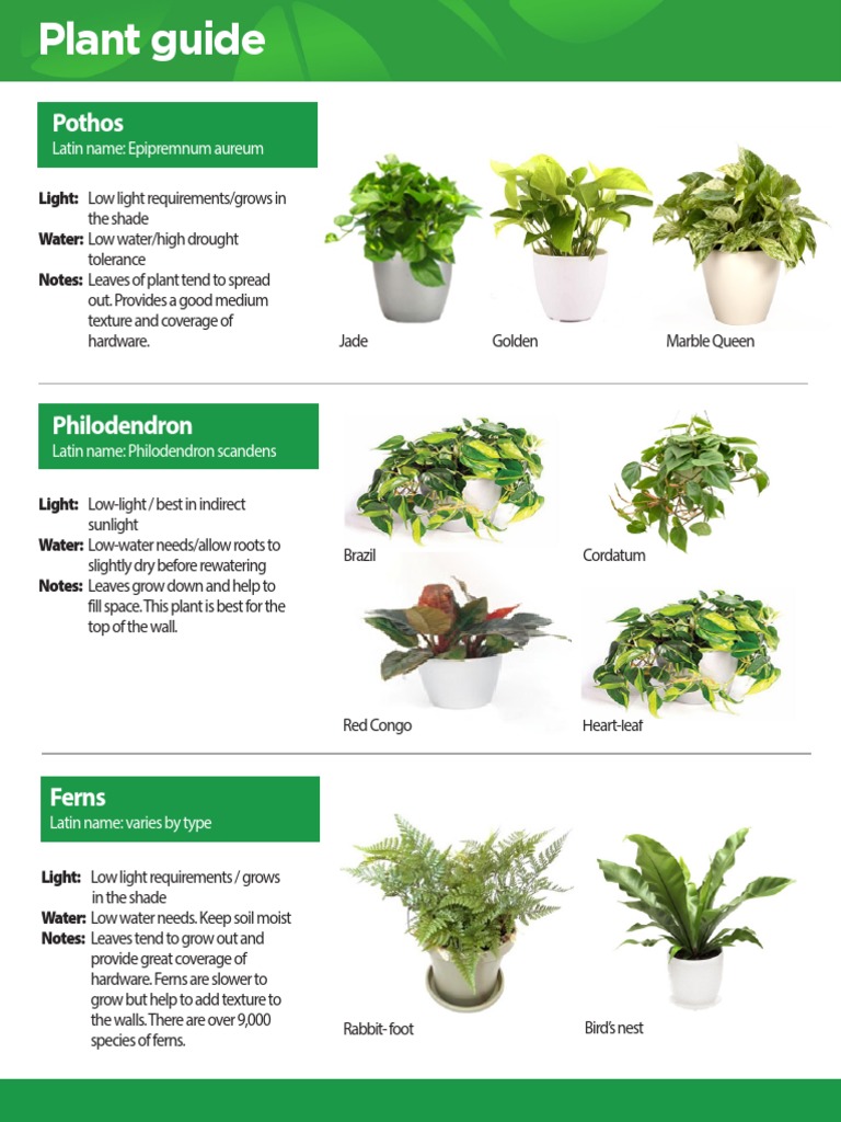 wildflower plants and seeds Wildflower Low Grow Mix Seed – Anderson's Seed & Garden