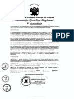 Directiva 001-2008 Supervision Liquidacion PDF