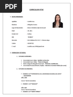 Castillo Sosa Milagritos Ivonne - CV