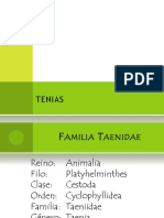 TENIAS DUNIA Presentacion