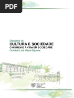 Unidade1-2-CultSociedade-AVA.pdf