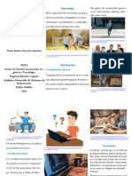 Brochure Coordinacion Fina y Gruesa PDF