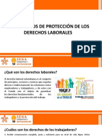 Mecanismos de Proteccion de Los Derechos Laborales