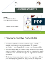 PRACTICA 1-Fraccionamiento Subcelular PDF