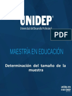 Determinacion Tamaño y Muestra PDF
