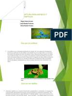 Métodos de Captura para Anfibios y Reptiles