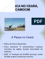 A Pesca no Ceará, Camocim.pdf