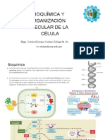 01.+BIOQUÍMICA+Y+ORGANIZACIÓN+MOLECULAR+DE+LA+CÉLULA-+es Compressed+ (1) .En - Es PDF