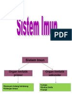 Sistem Imun Optimal