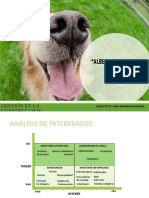 STAKEHOLDERS 2-Albergue Perritos