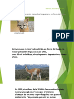 ppt de lenguaje.pptx