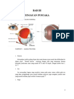 BAB III Tinjauan Pustaka