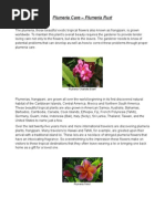 Download Plumeria Care - Plumeria Rust by Bob Walsh SN47621461 doc pdf