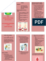 Leaflet Anemia