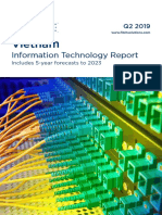 Vietnam Information Technology Report