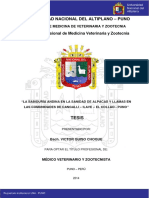 Quiso Choque Victor PDF