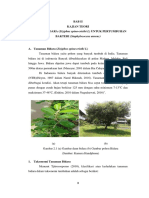 Bab Ii PDF