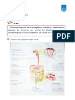 Ciencias Naturales 09 de Junio