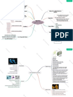 MindMap Protista - Ciri Umum Dan Excavata