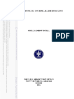 B16mis PDF