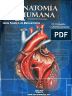 Tratado_de_anatomia_humana_Quiroz_tomo_I.pdf