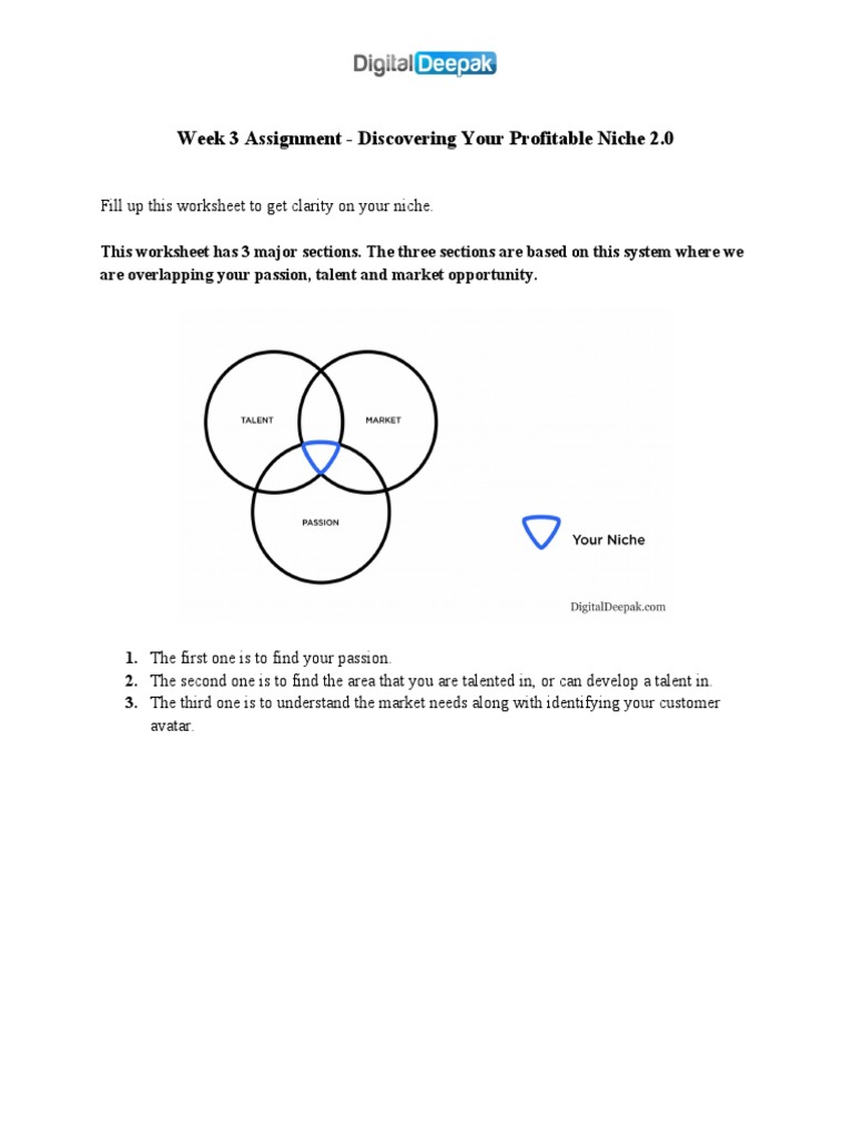Niche Discovery Worksheet Guide | PDF | Visualization (Graphics) | Data