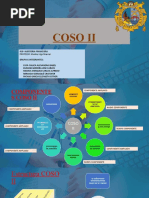 5 Componentes Del COSO ERM 2017 y Los 20 Principios | PDF