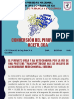 5 Conversiondelpiruvatoaco A