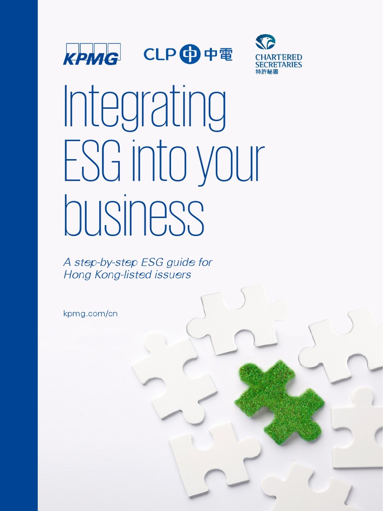 Integrating Esg Into Your Business PDF | PDF | Governance | Strategic ...