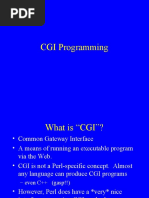 CGI Programming