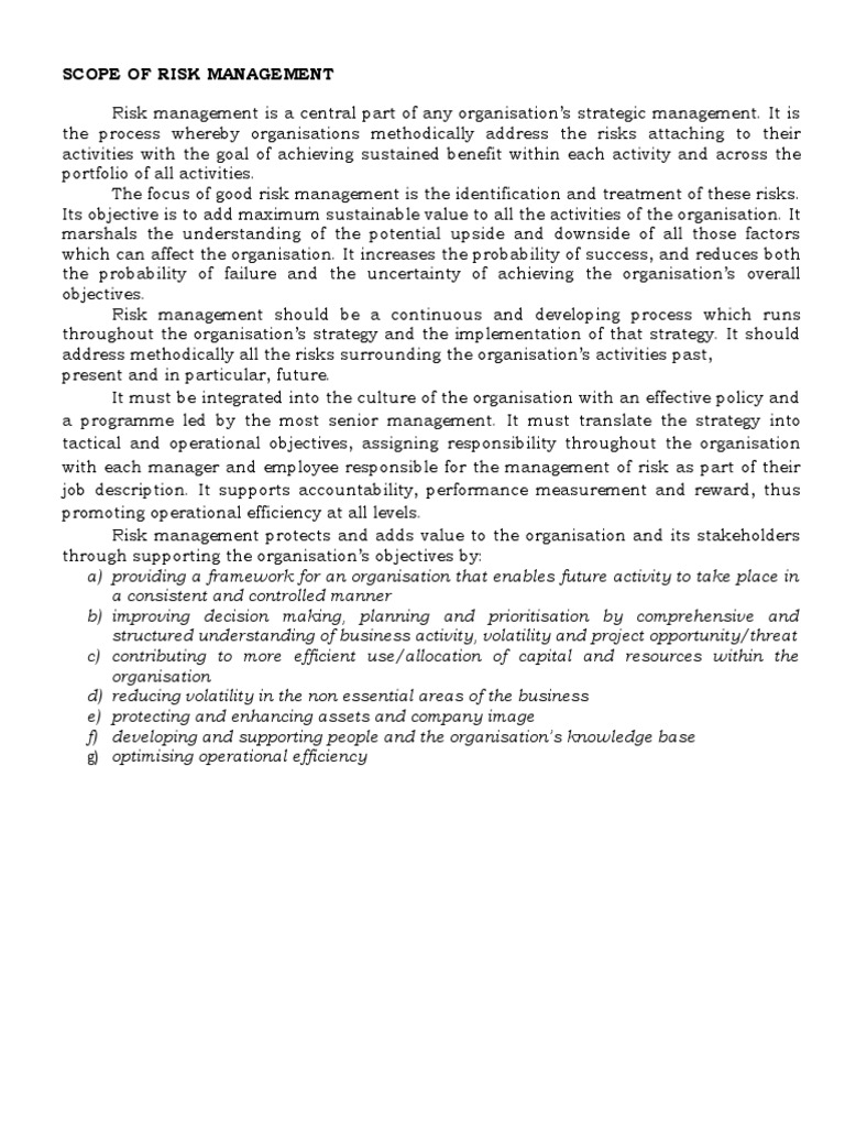 Understanding Risk Management Scope | PDF