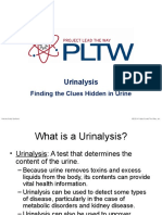 Urinalysis: Finding The Clues Hidden in Urine